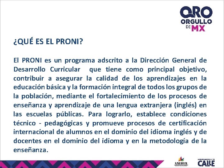 ¿QUÉ ES EL PRONI? El PRONI es un programa adscrito a la Dirección General ¿QUÉ ES EL PRONI? El PRONI es un programa adscrito a la Dirección General