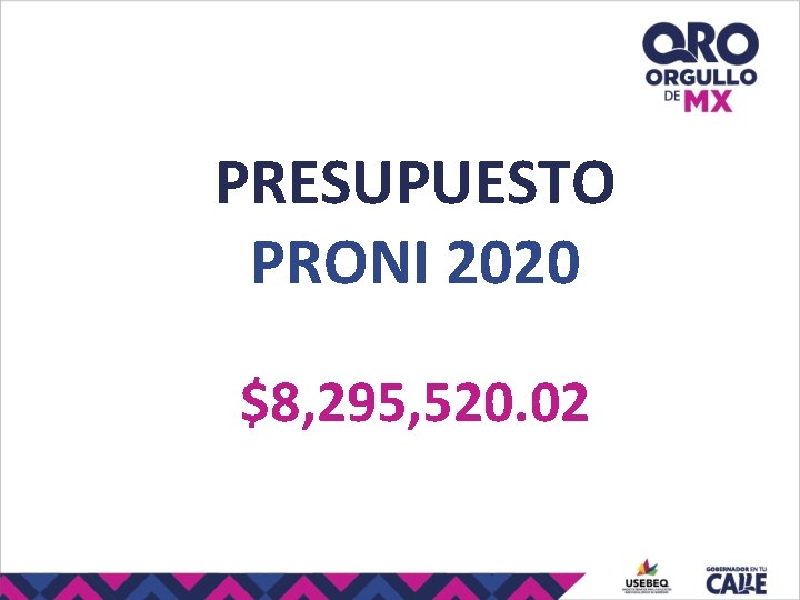 PRESUPUESTO PRONI 2020 $8, 295, 520. 02 PRESUPUESTO PRONI 2020 $8, 295, 520. 02