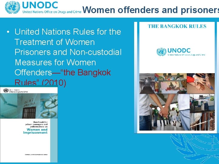 Women offenders and prisoners • United Nations Rules for the Treatment of Women Prisoners