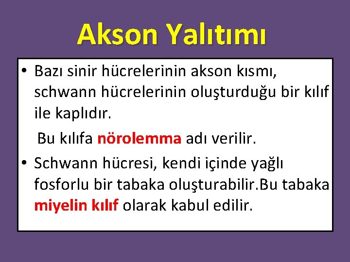 Akson Yalıtımı • Bazı sinir hücrelerinin akson kısmı, schwann hücrelerinin oluşturduğu bir kılıf ile