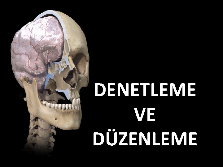 DENETLEME VE DÜZENLEME 