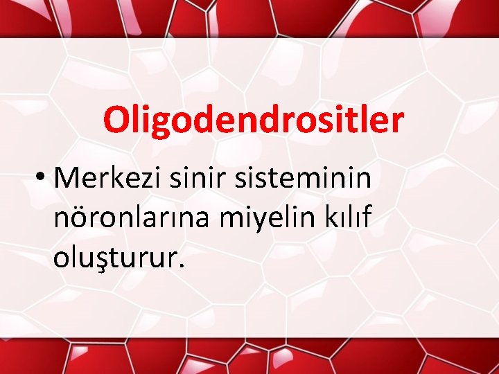 Oligodendrositler • Merkezi sinir sisteminin nöronlarına miyelin kılıf oluşturur. 