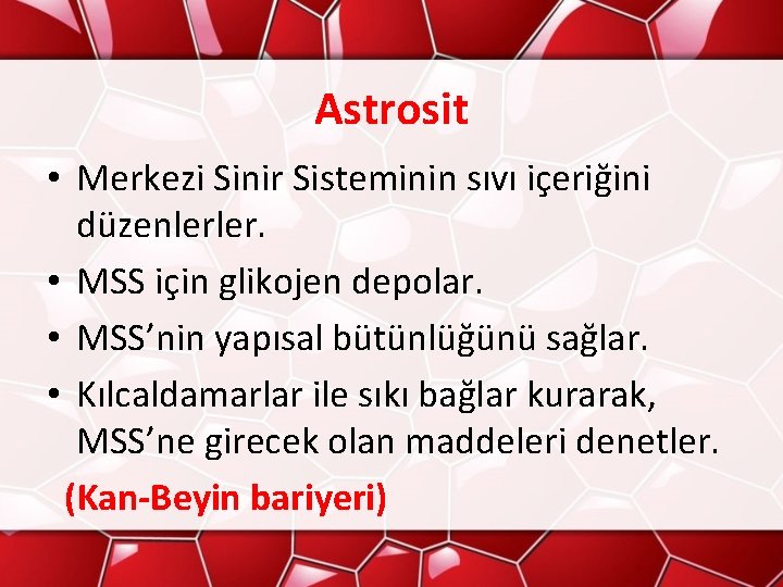 Astrosit • Merkezi Sinir Sisteminin sıvı içeriğini düzenlerler. • MSS için glikojen depolar. •