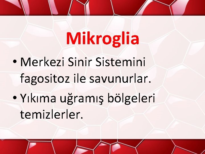 Mikroglia • Merkezi Sinir Sistemini fagositoz ile savunurlar. • Yıkıma uğramış bölgeleri temizlerler. 