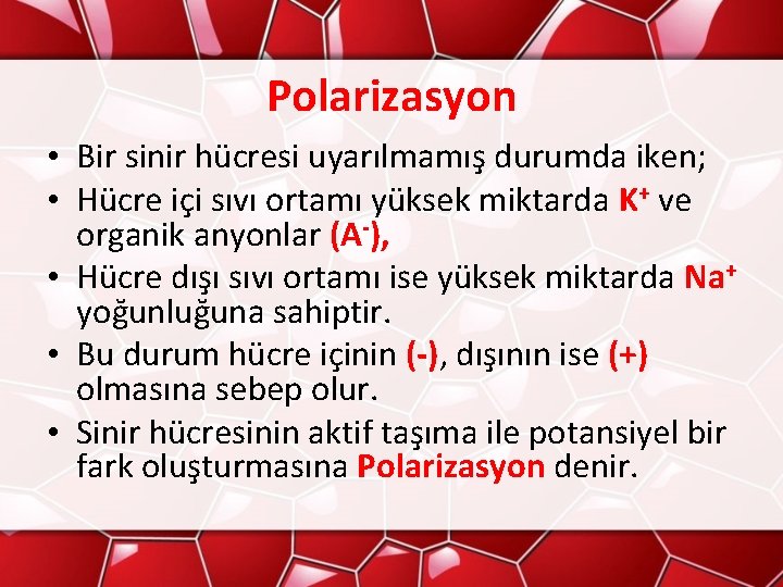 Polarizasyon • Bir sinir hücresi uyarılmamış durumda iken; • Hücre içi sıvı ortamı yüksek