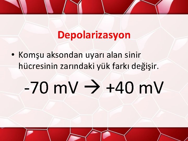 Depolarizasyon • Komşu aksondan uyarı alan sinir hücresinin zarındaki yük farkı değişir. -70 m.