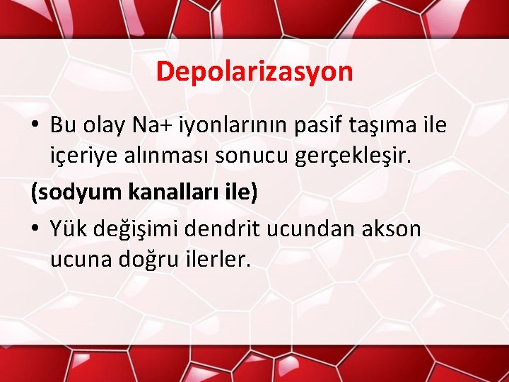 Depolarizasyon • Bu olay Na+ iyonlarının pasif taşıma ile içeriye alınması sonucu gerçekleşir. (sodyum