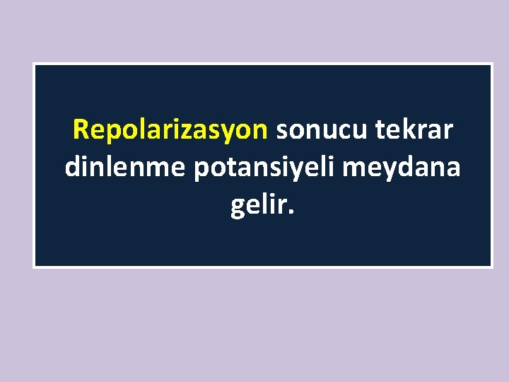 Repolarizasyon sonucu tekrar dinlenme potansiyeli meydana gelir. 