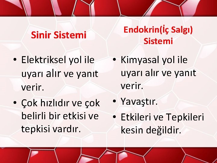 Sinir Sistemi Endokrin(İç Salgı) Sistemi • Elektriksel yol ile uyarı alır ve yanıt verir.