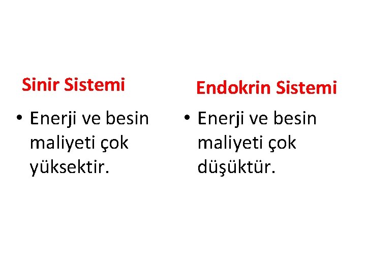 Sinir Sistemi • Enerji ve besin maliyeti çok yüksektir. Endokrin Sistemi • Enerji ve