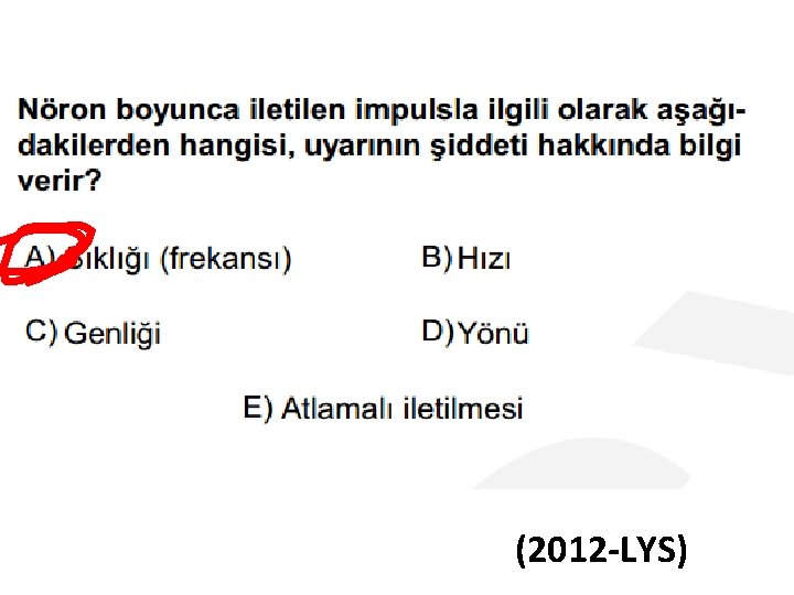 (2012 -LYS) 