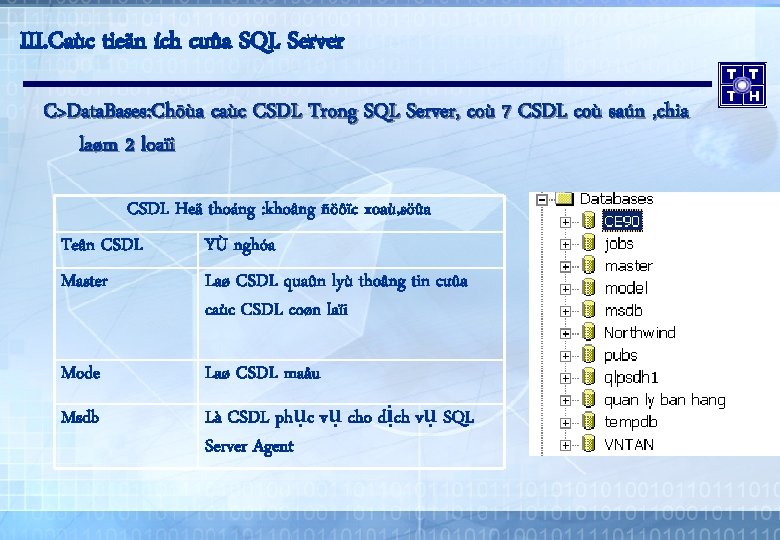 III. Caùc tieän ích cuûa SQL Server C>Data. Bases: Chöùa caùc CSDL Trong SQL