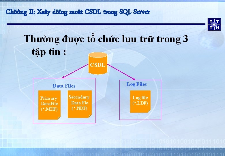 Chöông II: Xaây döïng moät CSDL trong SQL Server Thường được tổ chức lưu