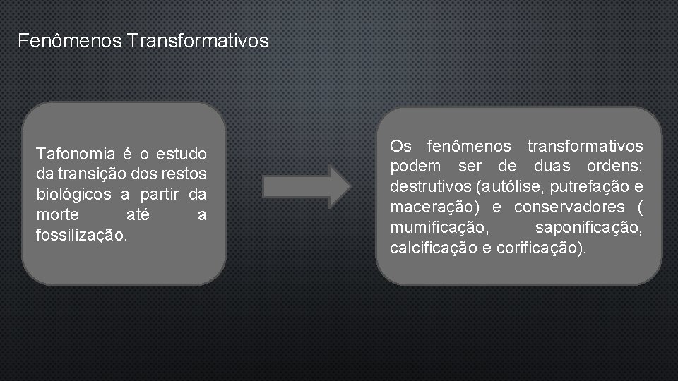 Fenômenos Transformativos Tafonomia é o estudo da transição dos restos biológicos a partir da