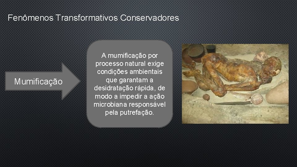 Fenômenos Transformativos Conservadores Mumificação A mumificação por processo natural exige condições ambientais que garantam