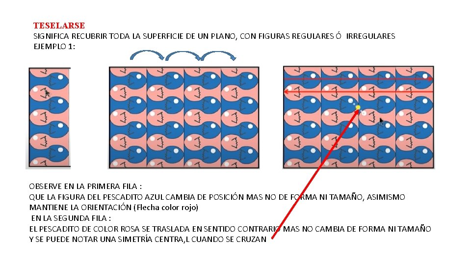 TESELARSE SIGNIFICA RECUBRIR TODA LA SUPERFICIE DE UN PLANO, CON FIGURAS REGULARES Ó IRREGULARES