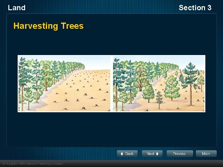 Land Harvesting Trees Section 3 