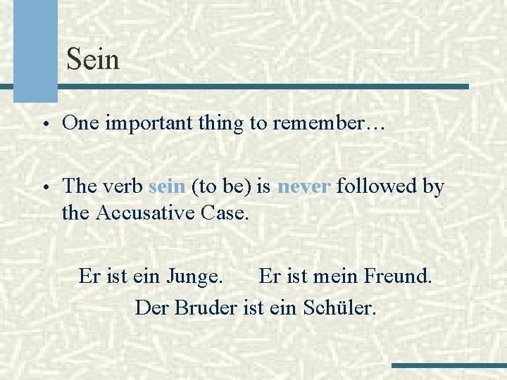 Sein • One important thing to remember… • The verb sein (to be) is