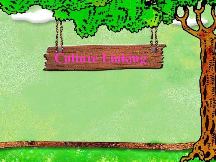 Culture Linking Culture Linking