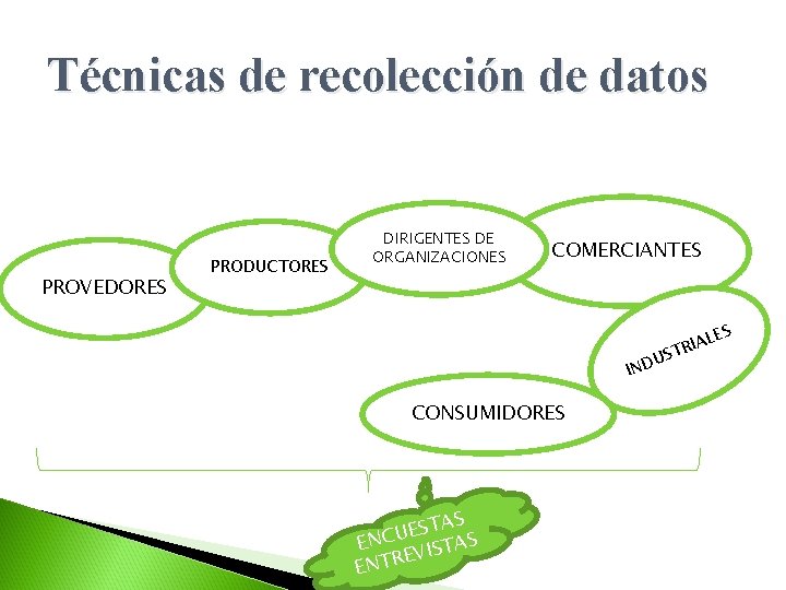 Técnicas de recolección de datos PROVEDORES PRODUCTORES DIRIGENTES DE ORGANIZACIONES COMERCIANTES U IND CONSUMIDORES
