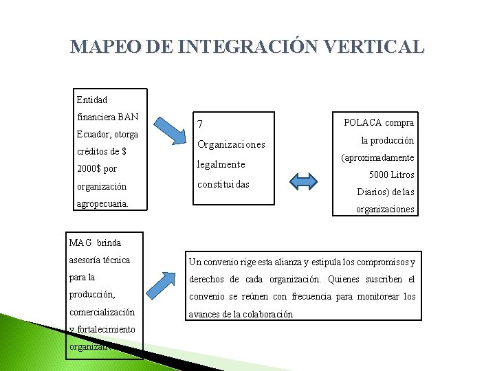 MAPEO DE INTEGRACIÓN VERTICAL Entidad financiera BAN Ecuador, otorga créditos de $ 7 Organizaciones