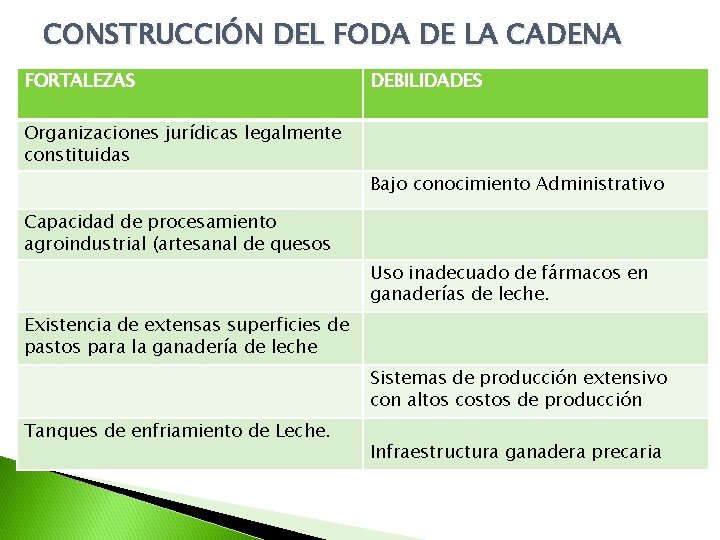 CONSTRUCCIÓN DEL FODA DE LA CADENA FORTALEZAS DEBILIDADES Organizaciones jurídicas legalmente constituidas Bajo conocimiento