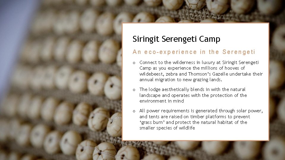 Siringit Serengeti Camp An eco-experience in the Serengeti o Connect to the wilderness in Siringit Serengeti Camp An eco-experience in the Serengeti o Connect to the wilderness in