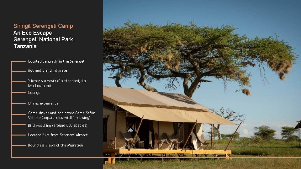 Siringit Serengeti Camp An Eco Escape Serengeti National Park Tanzania Located centrally in the Siringit Serengeti Camp An Eco Escape Serengeti National Park Tanzania Located centrally in the