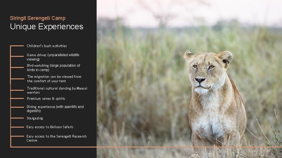 Siringit Serengeti Camp Unique Experiences Children’s bush activities Game drives (unparalleled wildlife viewing) Bird Siringit Serengeti Camp Unique Experiences Children’s bush activities Game drives (unparalleled wildlife viewing) Bird