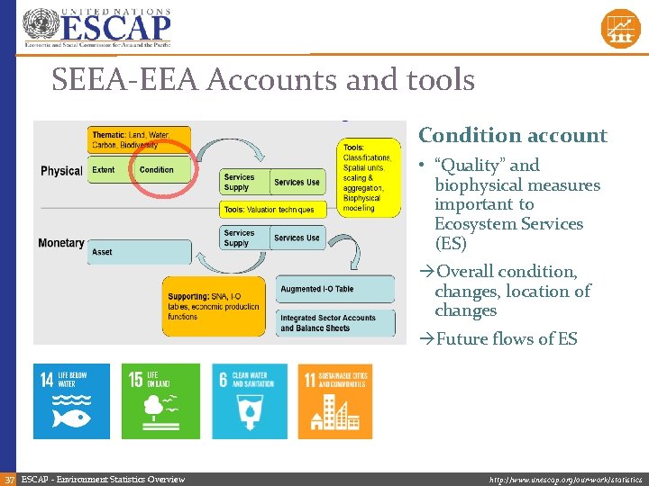 SEEA-EEA Accounts and tools Condition account • “Quality” and biophysical measures important to Ecosystem