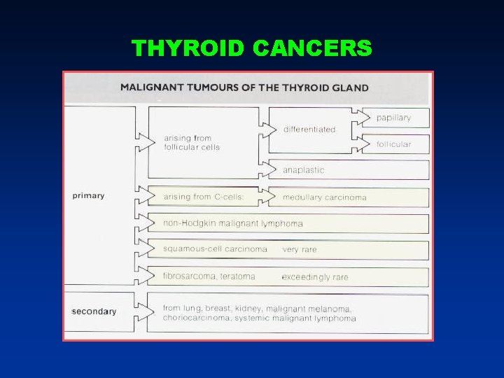 THYROID CANCERS THYROID CANCERS