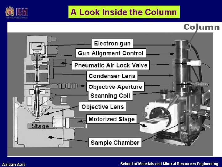 A Look Inside the Column Azizan Aziz School of Materials and Mineral Resources Engineering
