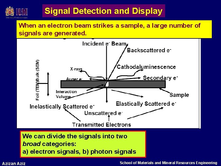Signal Detection and Display When an electron beam strikes a sample, a large number