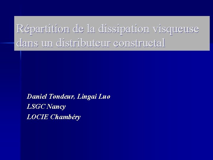 Répartition de la dissipation visqueuse dans un distributeur constructal Daniel Tondeur, Lingai Luo LSGC