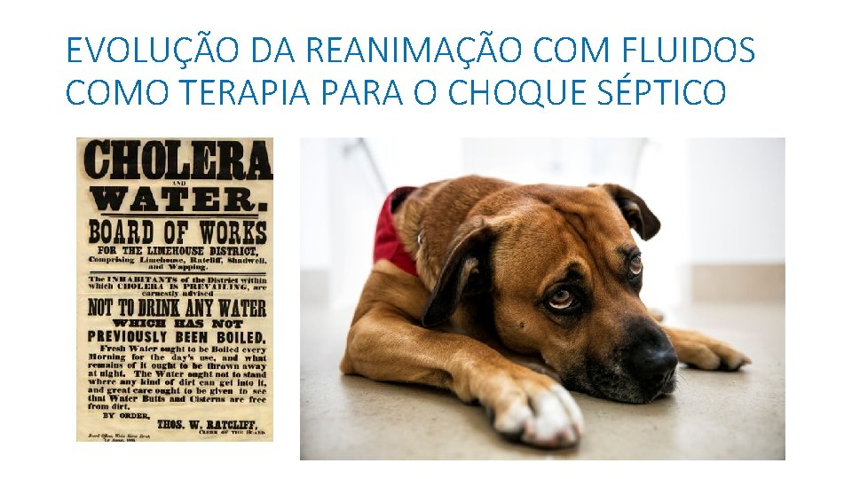 EVOLUÇÃO DA REANIMAÇÃO COM FLUIDOS COMO TERAPIA PARA O CHOQUE SÉPTICO 