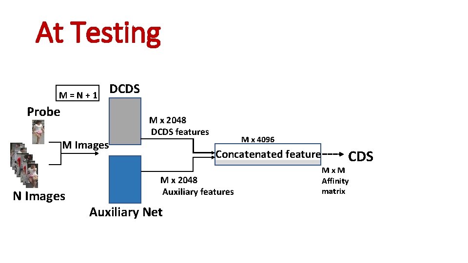 At Testing M = N + 1 Probe M Images N Images DCDS M