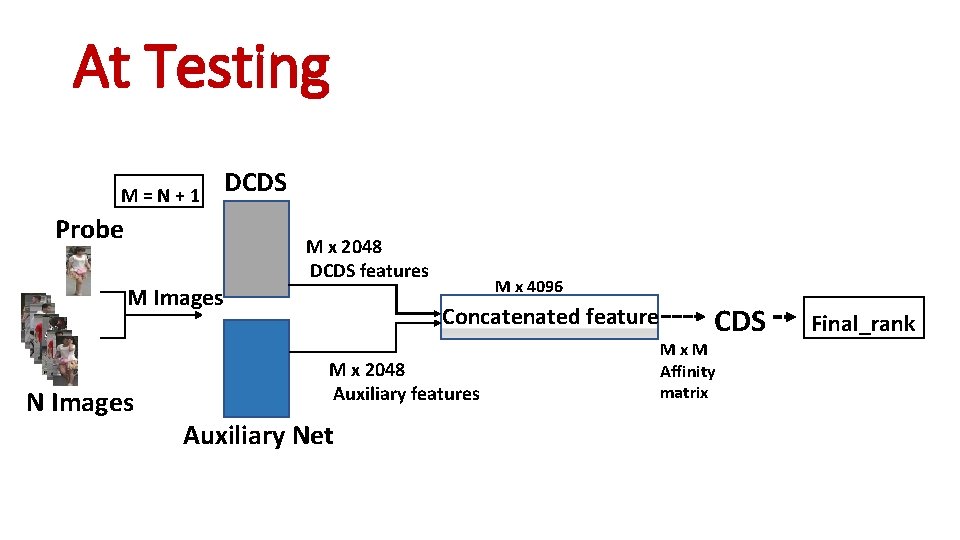 At Testing M = N + 1 Probe M Images N Images DCDS M