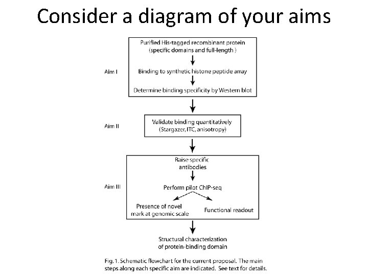 Consider a diagram of your aims 