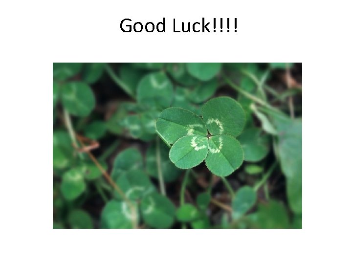 Good Luck!!!! 