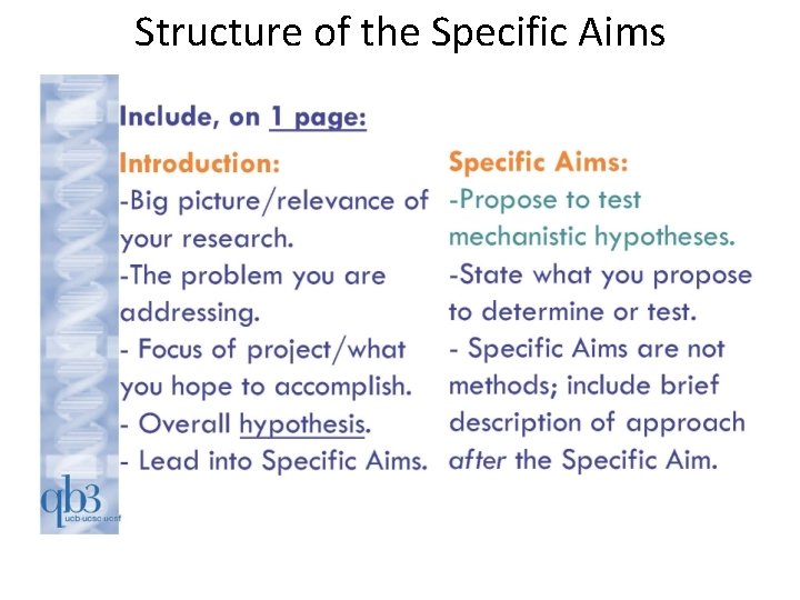 Structure of the Specific Aims 