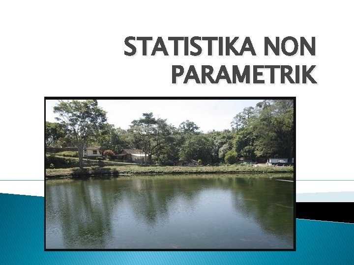 STATISTIKA NON PARAMETRIK 