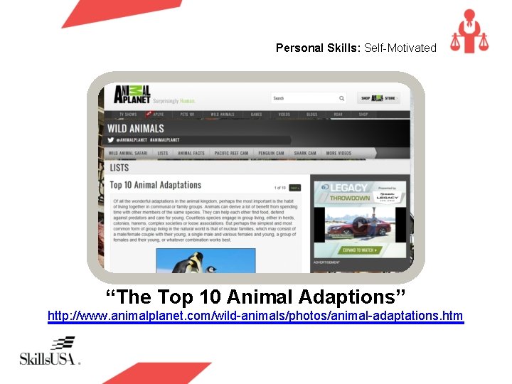 Personal Skills: Self-Motivated “The Top 10 Animal Adaptions” http: //www. animalplanet. com/wild-animals/photos/animal-adaptations. htm 