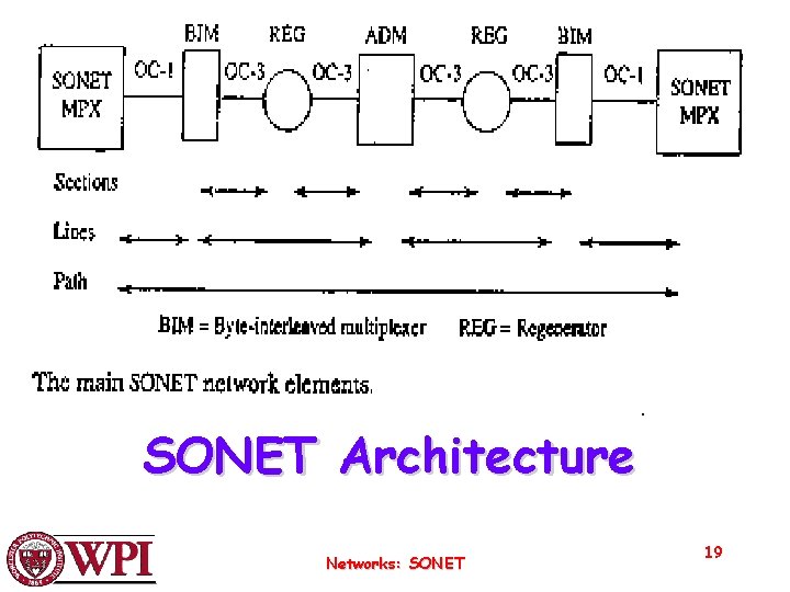 SONET Architecture Networks: SONET 19 