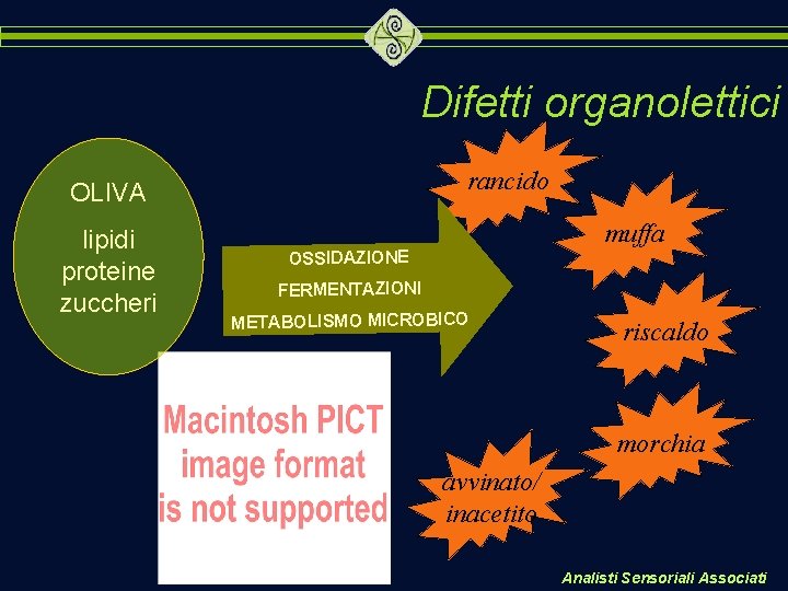 Difetti organolettici rancido OLIVA lipidi proteine zuccheri muffa OSSIDAZIONE FERMENTAZIONI METABOLISMO MICROBICO riscaldo morchia