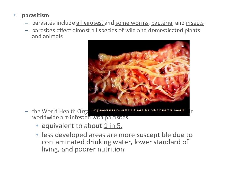 • parasitism – parasites include all viruses, and some worms, bacteria, and insects • parasitism – parasites include all viruses, and some worms, bacteria, and insects