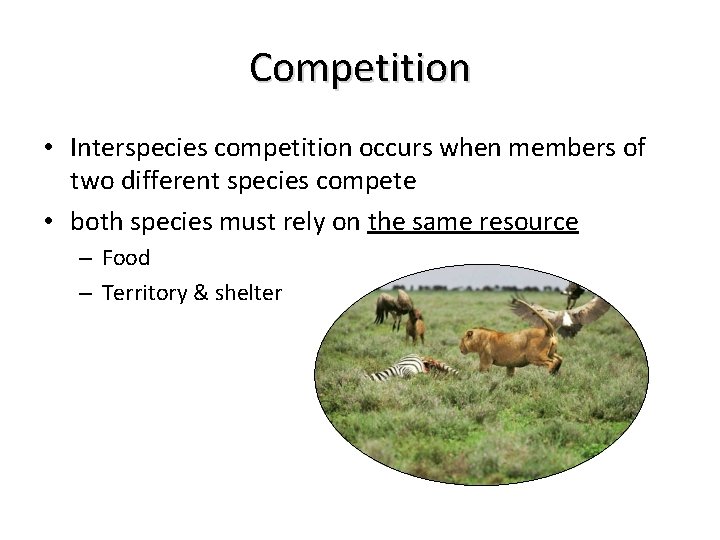 Competition • Interspecies competition occurs when members of two different species compete • both Competition • Interspecies competition occurs when members of two different species compete • both