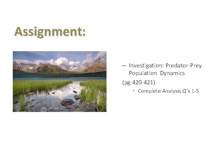 Assignment: – Investigation: Predator-Prey Population Dynamics (pg 420 -421) • Complete Analysis Q’s 1 Assignment: – Investigation: Predator-Prey Population Dynamics (pg 420 -421) • Complete Analysis Q’s 1