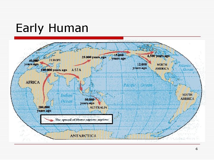 Early Human 4 