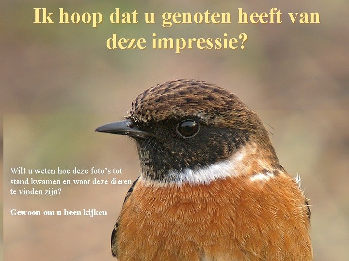 Ik hoop dat u genoten heeft van deze impressie? Wilt u weten hoe deze