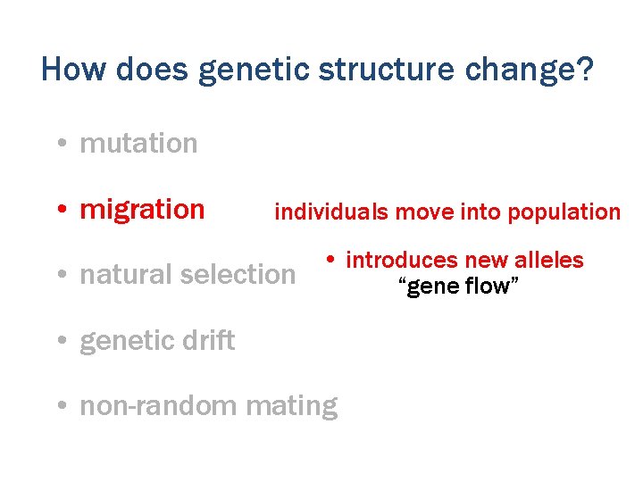 How does genetic structure change? • mutation • migration individuals move into population •